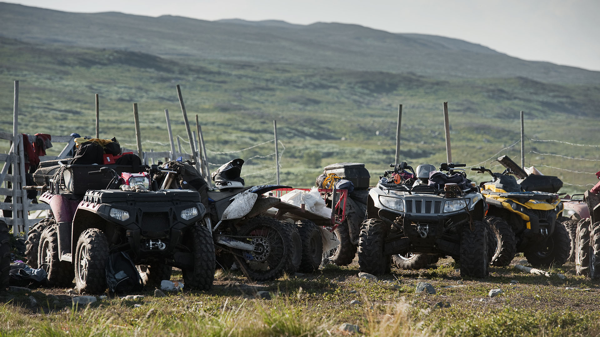 Fyrhjulingar på fjället