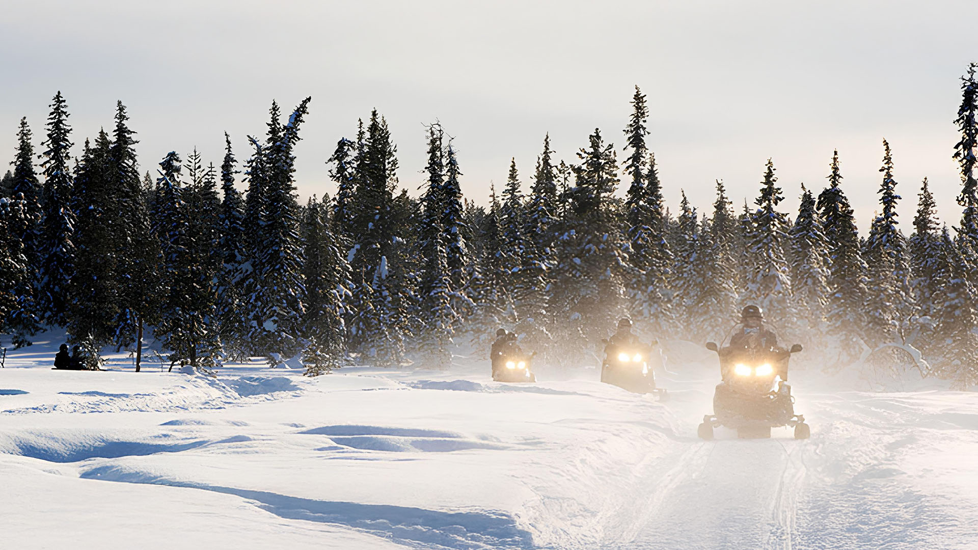 Grupp med skoteråkare
